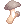 ภาพไอเทม Edible Mushroom