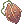 ภาพไอเทม Seed Of Thorny Plant
