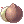 ภาพไอเทม Coconut Fruit