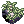 ภาพไอเทม Dew Laden Moss