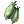 Silvervine
