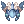 ไอเทม image: C DIVDRAGON BLU
