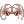 ไอเทม image: C SHINYMAJESTICGOAT WHT