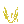 ไอเทม image: C AURAZEUS YLW