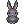 ภาพไอเทม C Black Rabbit