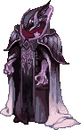 มอนสเตอร์ image: Hel Necromancer
