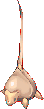 Stem Worm appearance in the game