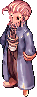 รูปลักษณ์ Guildsman ในเกม
