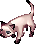 รูปลักษณ์ Meow ในเกม