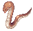 Anacondaq