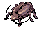 Thief Bug