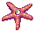Aster