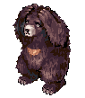 Zipper Bear