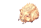 Golden Savage