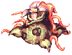 Mandragora
