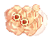 Poisonous