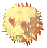 Dry Rafflesia