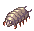 Maggot