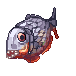 Swift Piranha