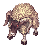 Solid Goat