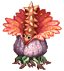 Swift Rafflesia Arnoldi